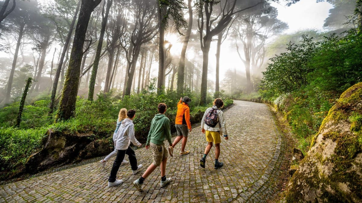 Descubra los senderos forestales ocultos de Sintra durante la experiencia en bicicleta eléctrica de Lisboa a Sintra.
