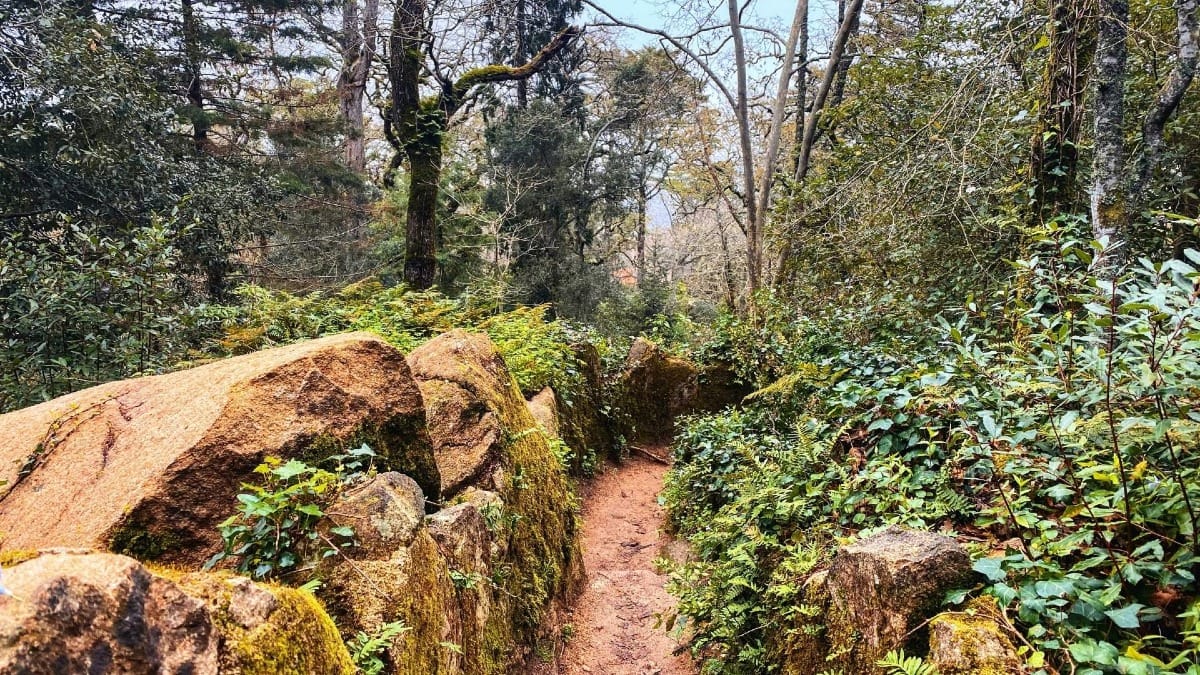 G3Eu quinta da regaleira gardens all monuments tour electric car