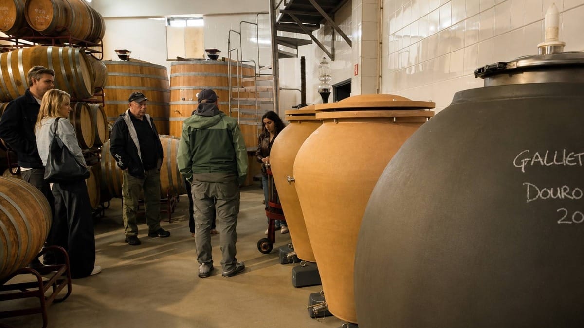 Learn about traditional and modern approaches to winemaking in the Douro Valley