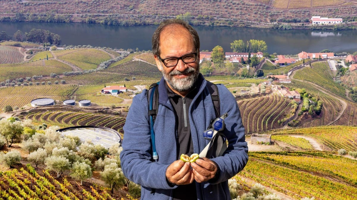 G9ez local guide village walk douro valley