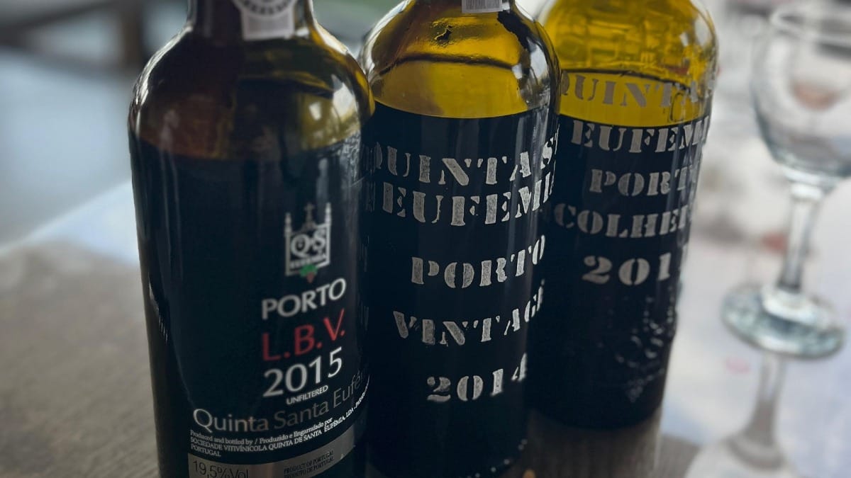 Close-up of Quinta de Santa EufƩmia vintage Port bottles during tasting