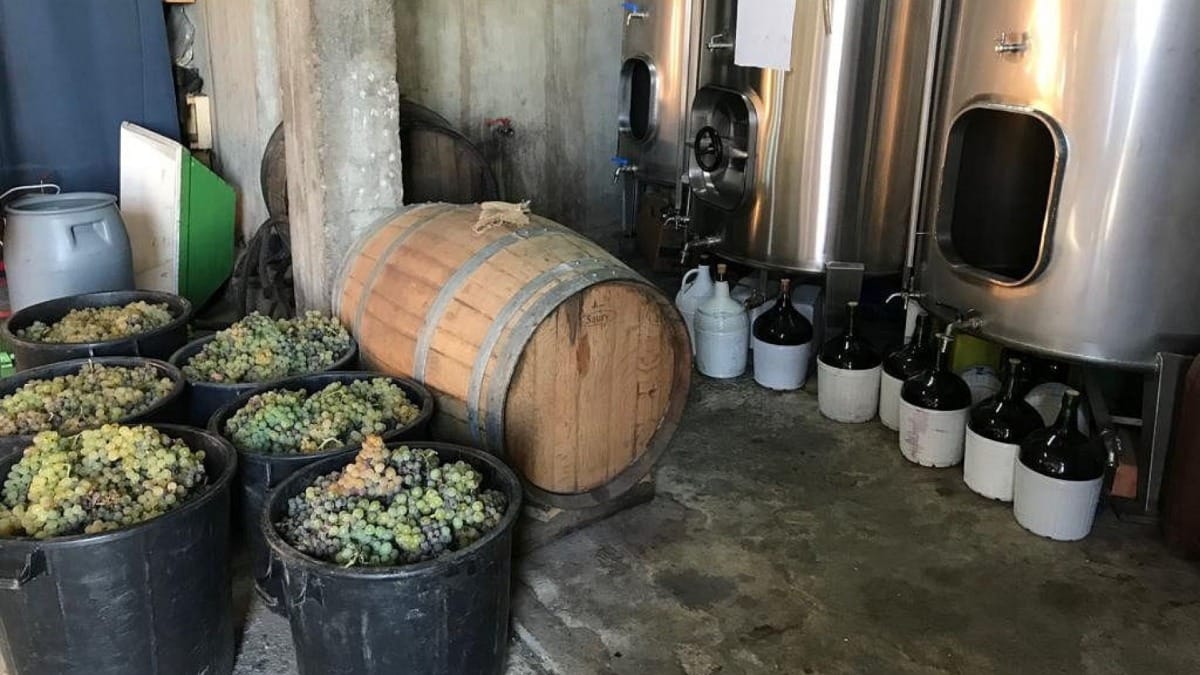 Is8f homemade wine process douro valley
