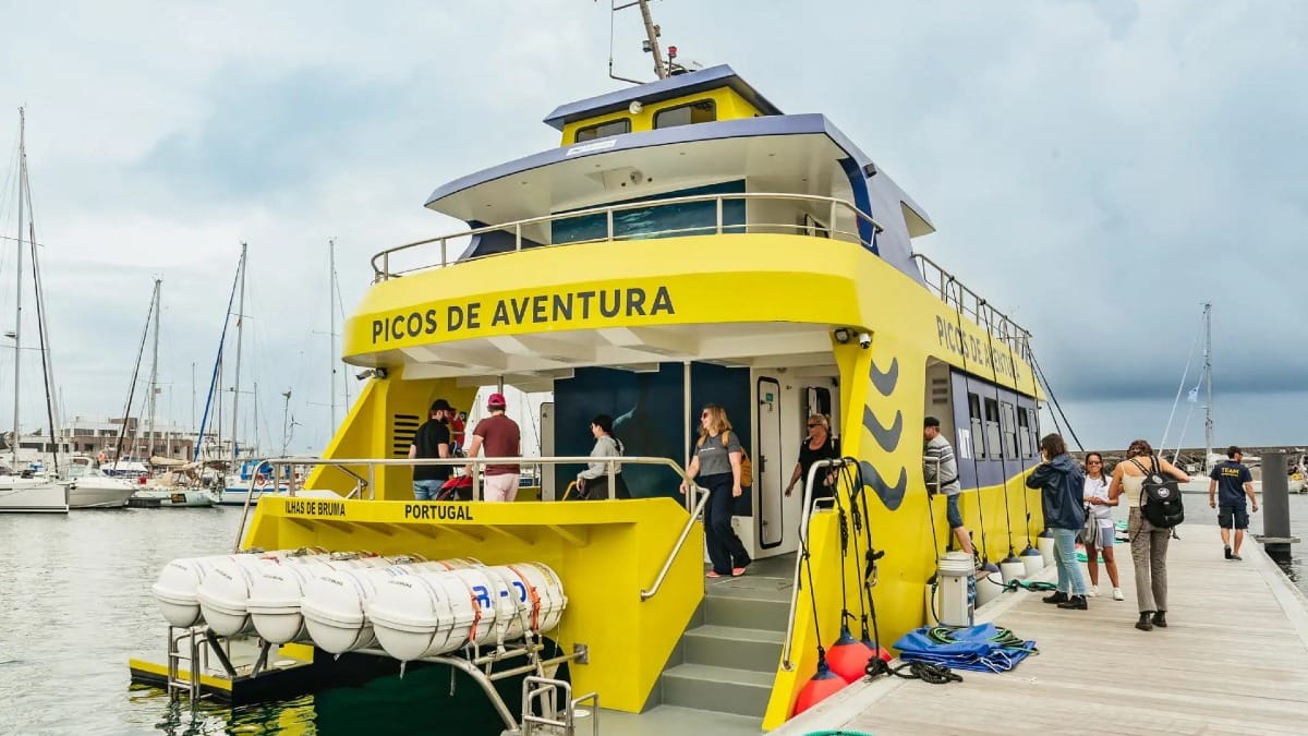 Your whale watching adventure begins in São Miguel with professional local operators