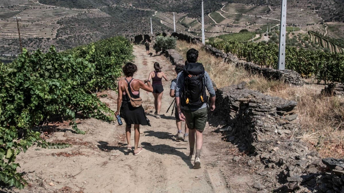 JZ3C winery hike tour douro valley