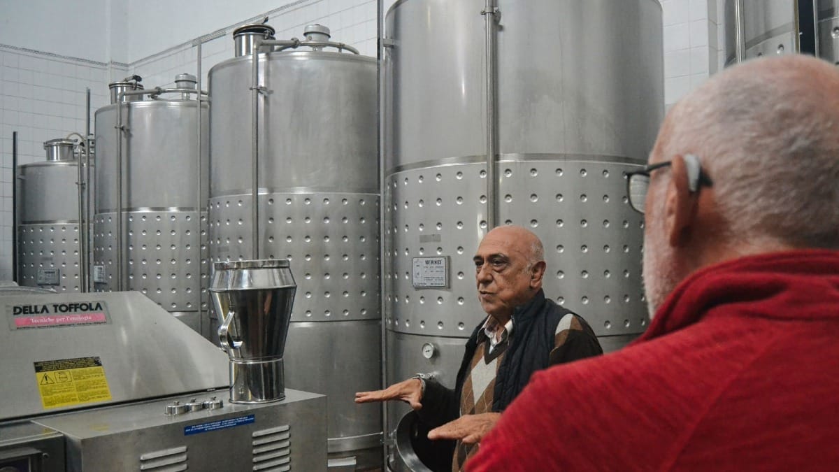 Visit to the Vinho Verde production cistern area | Cooltour Oporto