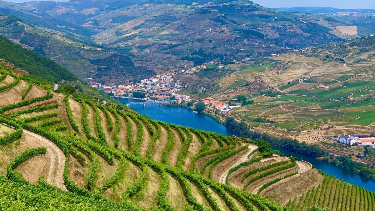 Vue sur les terrasses de vignes et le fleuve Douro, site classé au patrimoine mondial de l'UNESCO, lors d'une visite guidée avec Cooltour Oporto