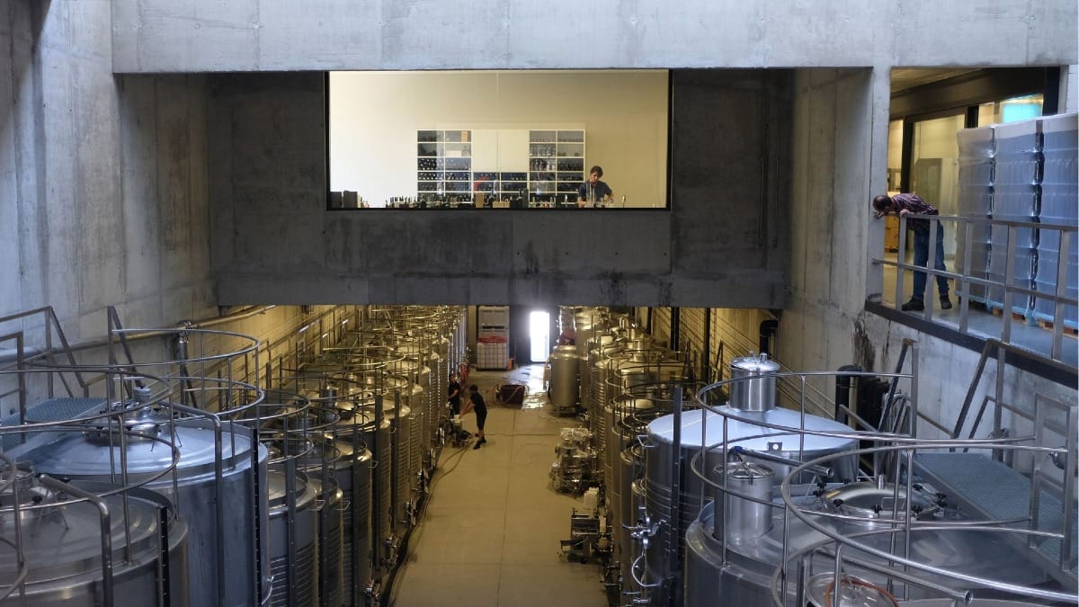 Enólogo trabajando en el laboratorio de vinos en la Quinta Alves de Sousa durante un tour guiado por el Valle del Duero con Cooltour Oporto