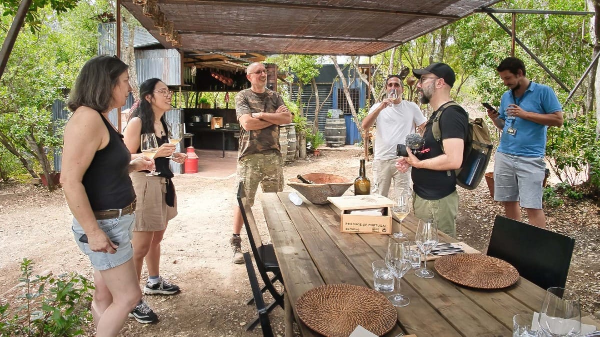 Dégustation de vins blancs locaux et d'huile d'olive dans la vallée du Douro
