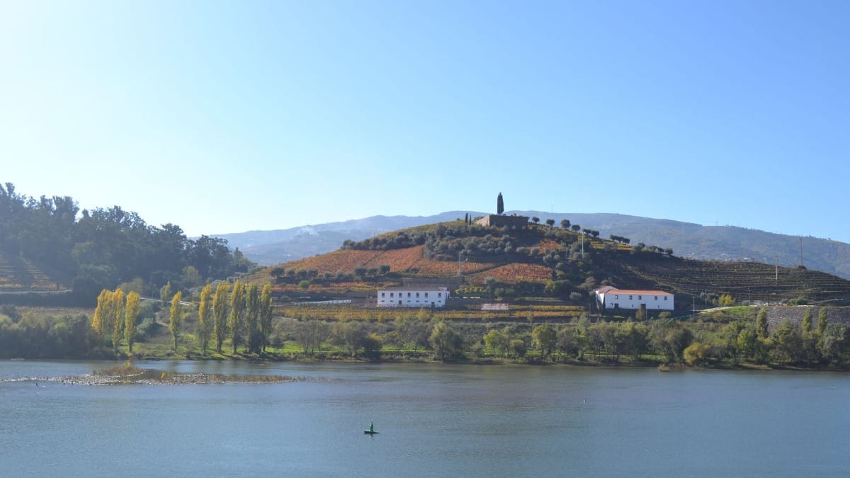 Río Duero y cielo azul pasando por Régua, la capital del Valle del Duero, durante un tour guiado de vinos con Cooltour Oporto