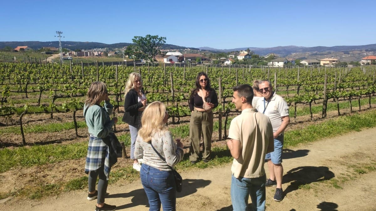 Visiteurs se promenant parmi les vignes de Quinta do Portal avant une dégustation de vins lors d'une visite guidée dans la Vallée du Douro au départ de Porto avec Cooltour Oporto
