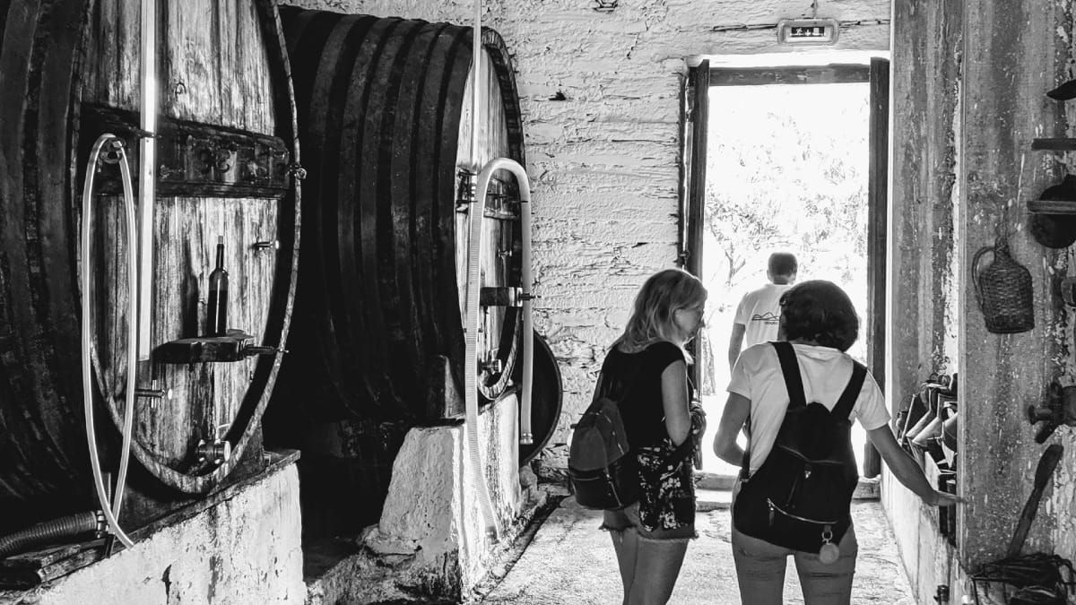 MMFO local wine tasting family home douro