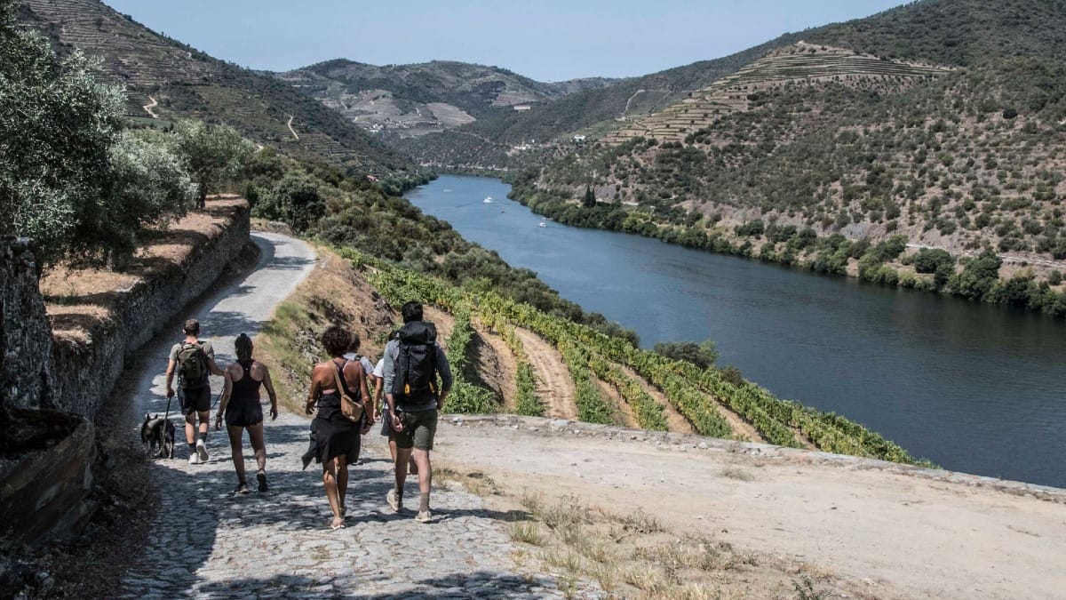 MOuM douro valley river vineayrds view