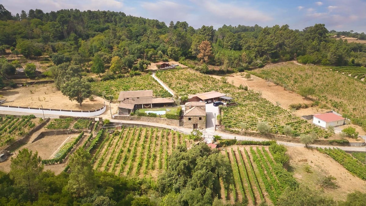 Panoramic view of Casa do PoƧo vineyards in the Douro Valley on our private wine tour