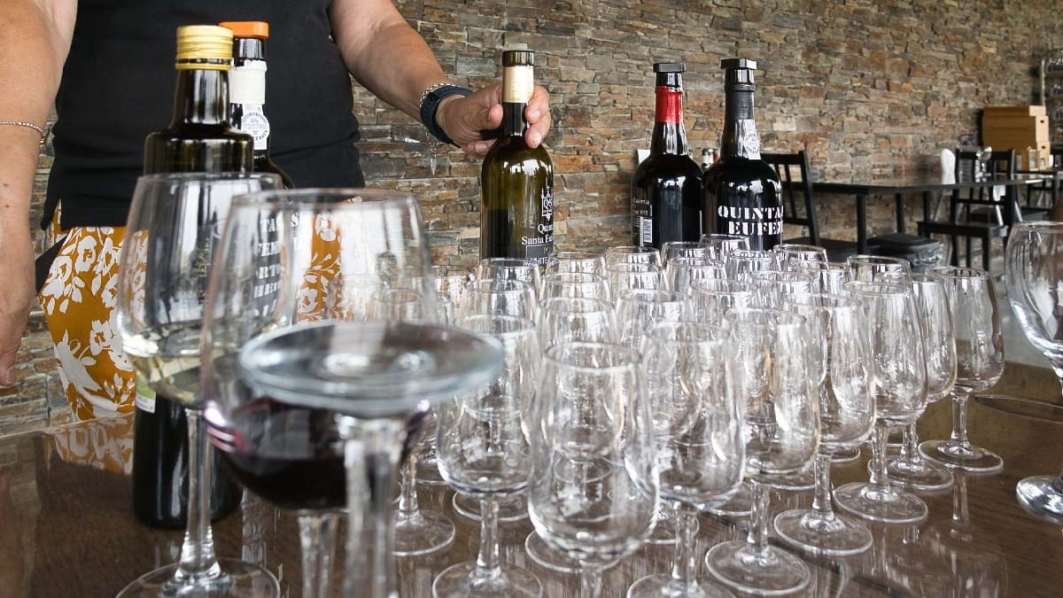 Copas y botellas de vino preparadas para una sesión de cata en Quinta de Santa Eufémia.