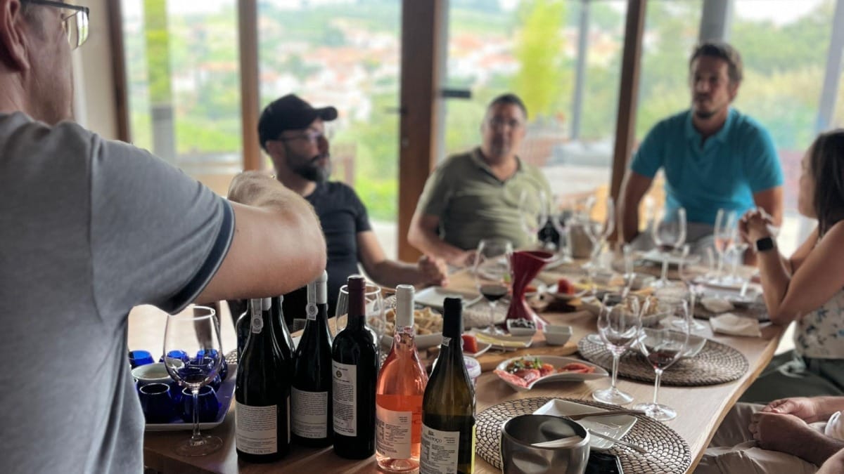Cata de vinos con vistas panorámicas y maridajes gourmet en Casa do Poço.
