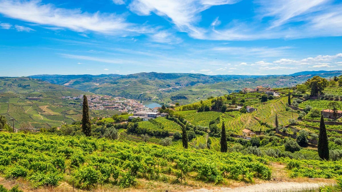 The Douro Valley landscape sets the tone for this slow and immersive experience