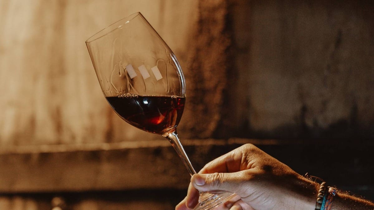 Taste elegant wines that reflect the character of the Douro Valley