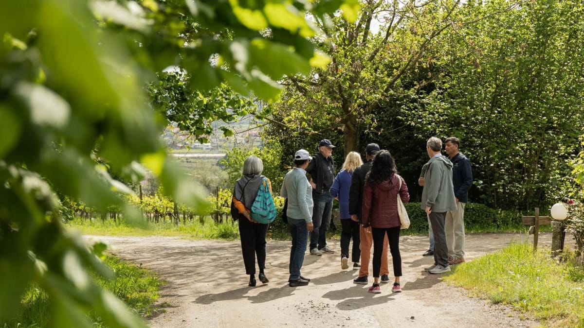 Visite d'une ferme de la région du Vinho Verde | Cooltour Oporto