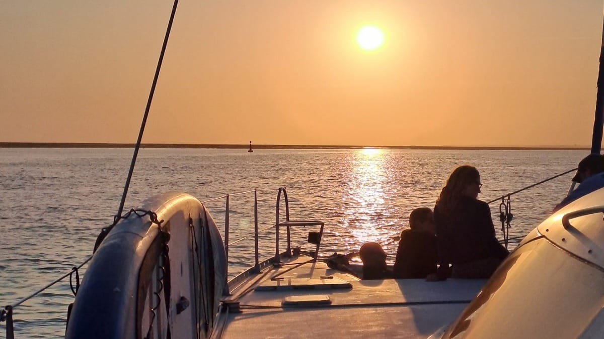 OMWS faro boat tour sunset full day eco tour