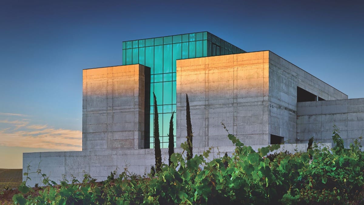 OVST douro winery vineyard visit tour