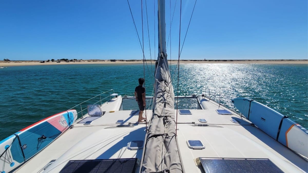 Ohba faro eco tour by catamaran ria formosa