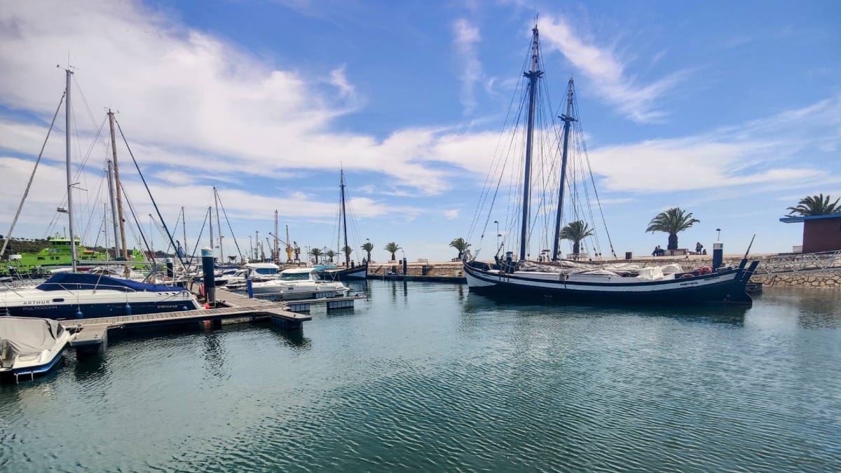 Colorful fishing boats moored at the Setúbal harbor with palm trees lining the waterfront promenade