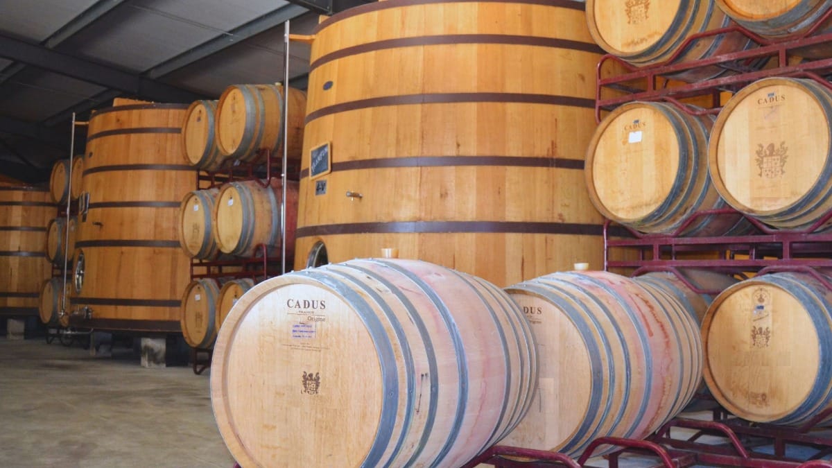 Visita a una bodega con nuevos barriles de Vino de Oporto y Duero durante un tour guiado por el Valle del Duero desde Oporto con Cooltour Oporto