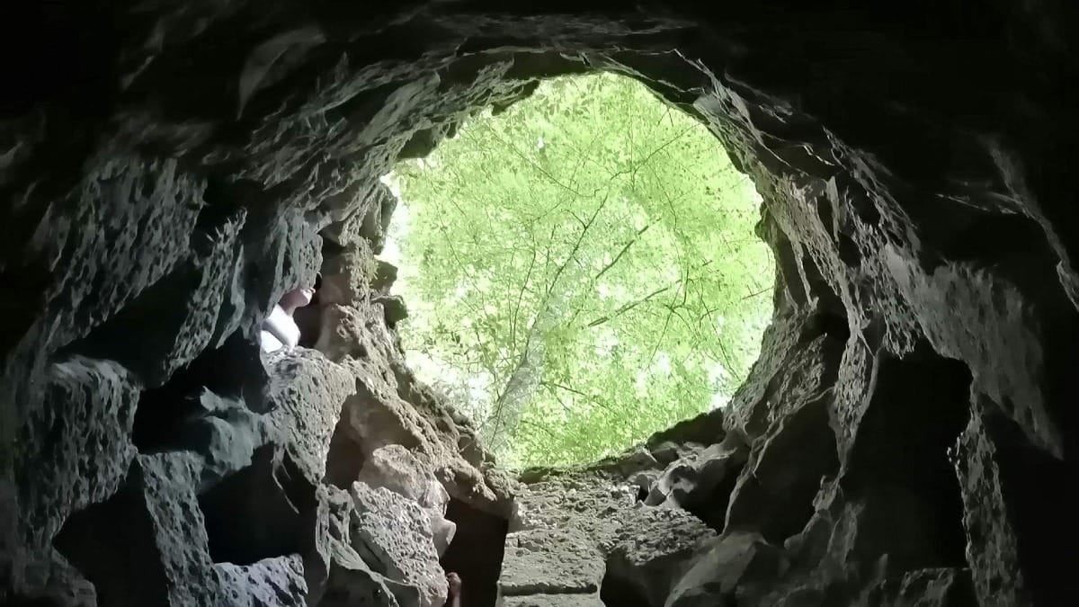 Q27Q quinta da regaleira best of sintra electric car tour