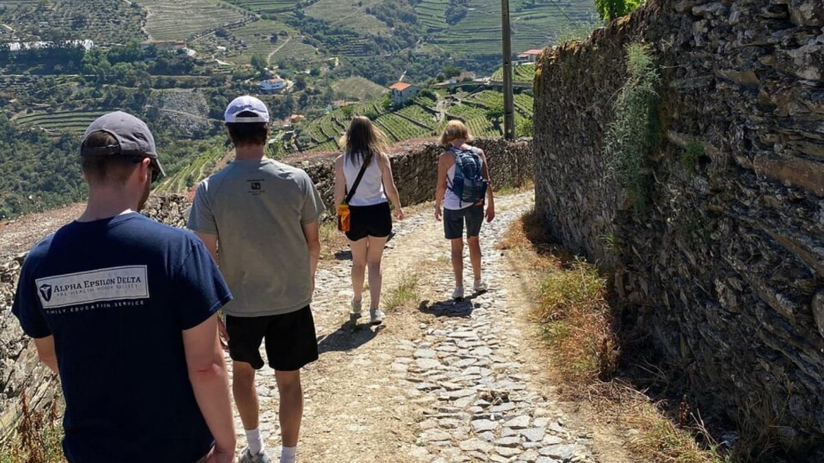 Q7b2 downhill walking tour douro valley