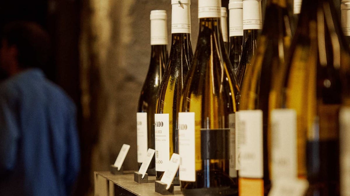 Fachada da loja da Quinta do Vallado na Ribeira, Porto, com visitantes e chapéus amarelos