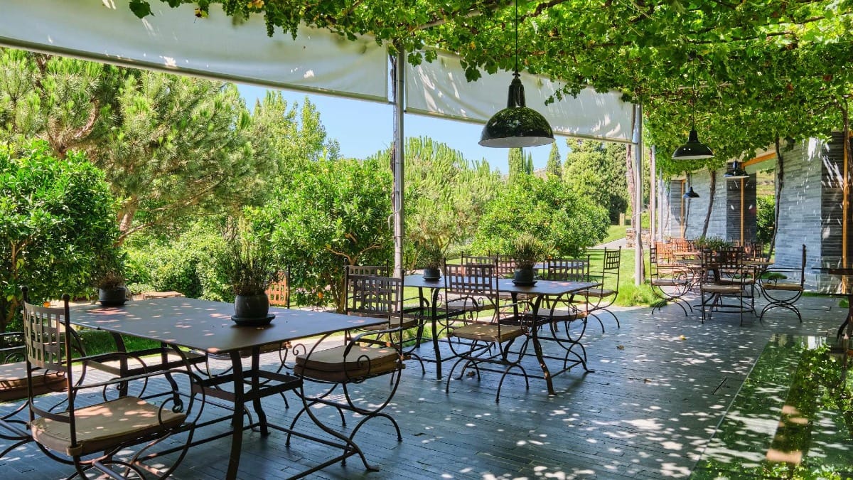 Terraço exterior sombreado na Quinta do Vallado com mesas de metal sob uma cobertura de videiras e vista para o jardim