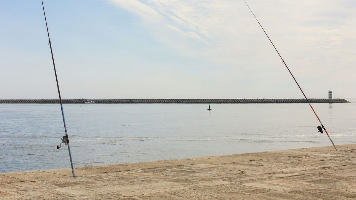 Deux cannes à pêche pointant vers le fleuve Douro, à proximité du Jardim do Passeio Alegre, pendant le tour en vélo électrique à Porto
