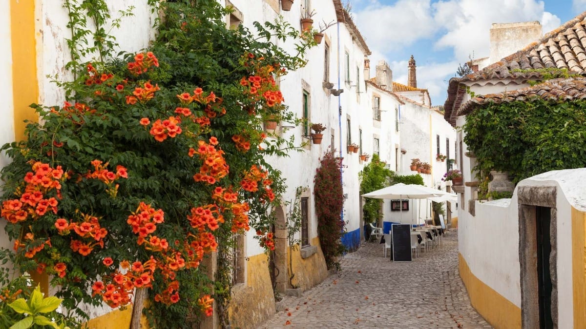 SiEm obidos charming flower street cafes