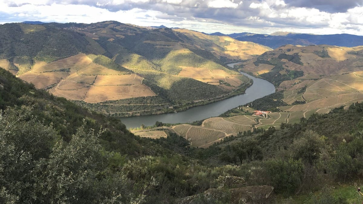 TO7H winter walk douro villages tour