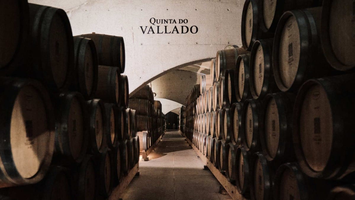 Visita guiada à adega, com destaque para os barris e a arquitetura da Quinta do Vallado