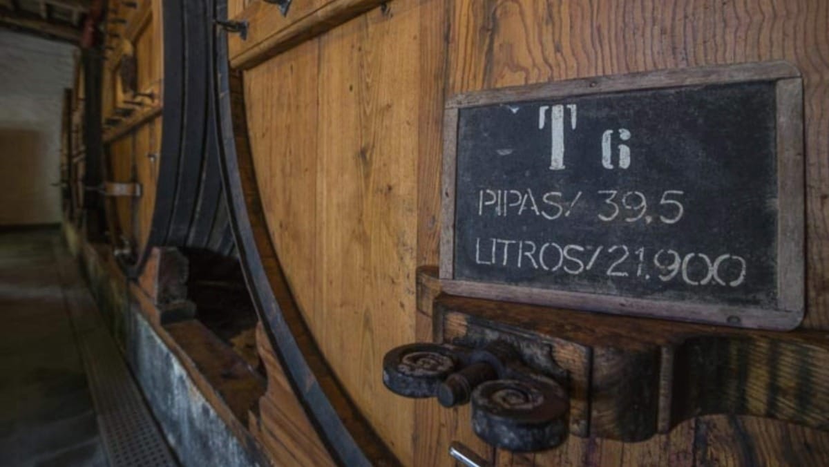 Details that reflect the craftsmanship and tradition behind Douro wine production
