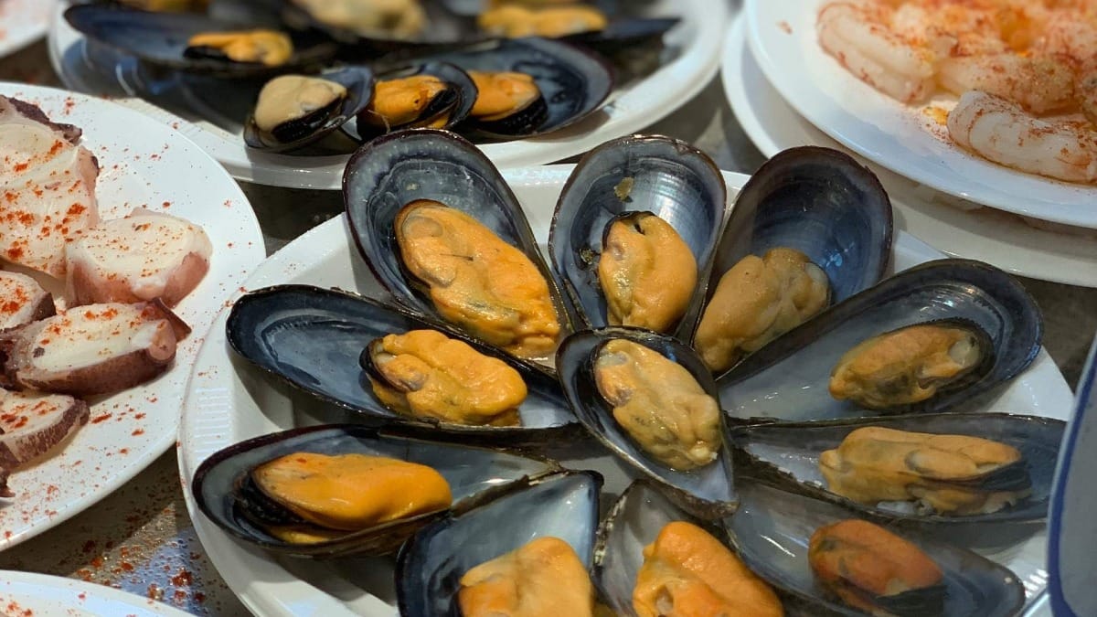 Close-up of mussels, pulpo, and shrimp tapas served on a Faro seafood tasting experience