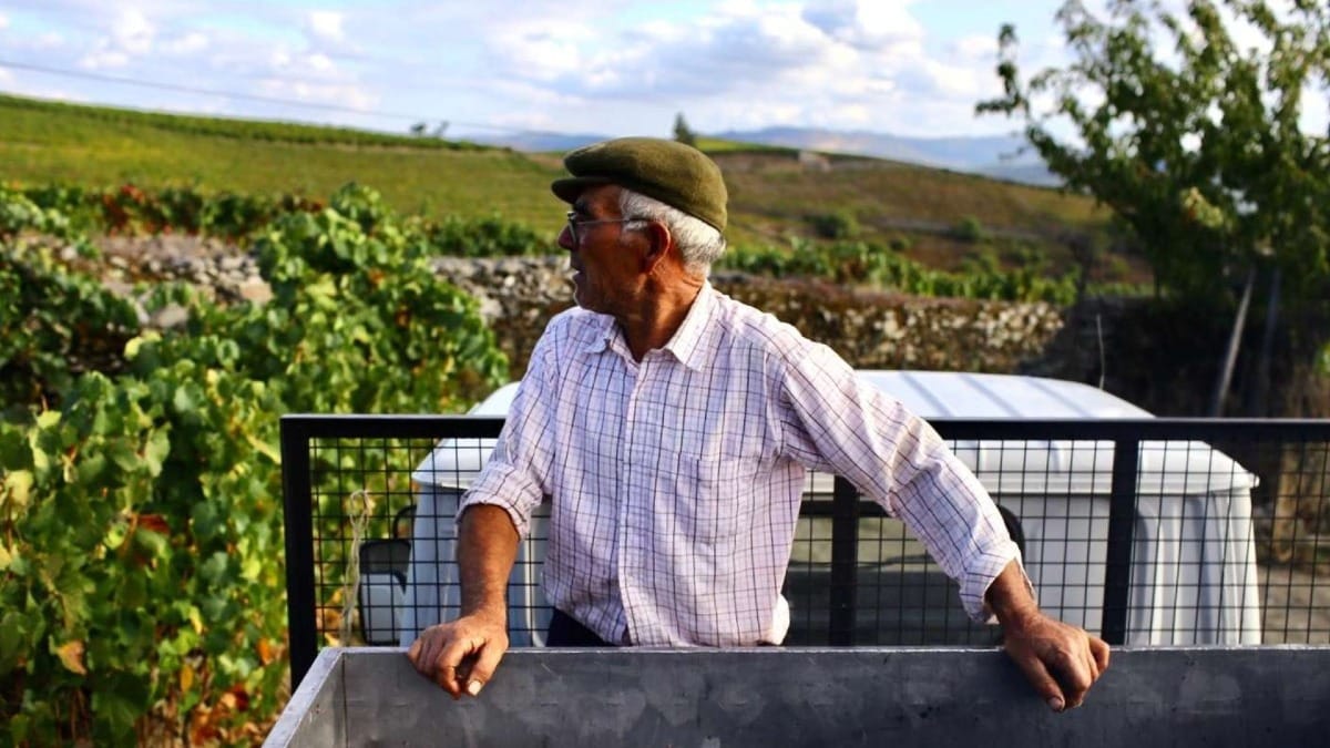ULXV meet locals village walk douro valley