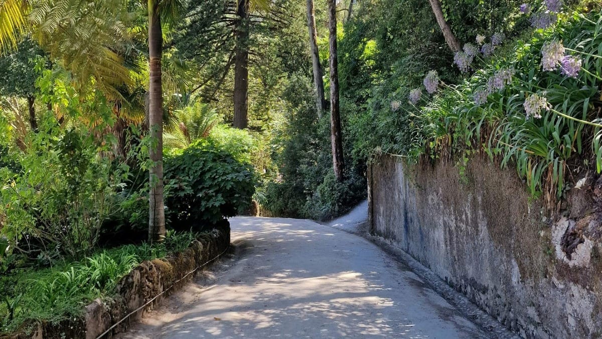 URfc quinta da regaleira most beautiful sintra garden