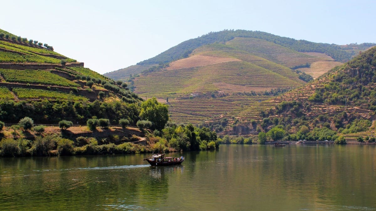 Crucero por el Río Duero en el corazón del Valle del Duero durante un tour guiado de vinos desde Oporto con Cooltour Oporto