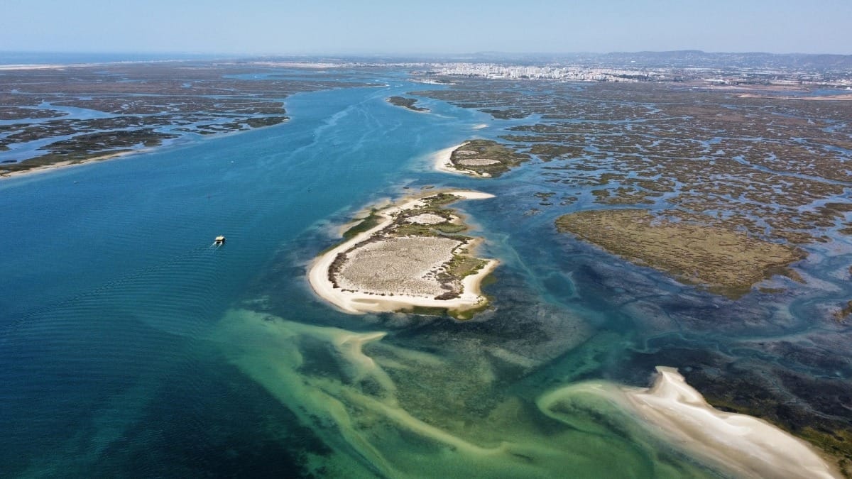 VeEp ria formosa natural park private boat full day