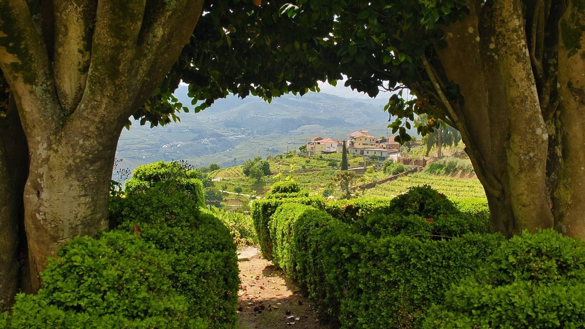Prenez le temps de flâner dans les jardins du domaine et d'admirer le paysage