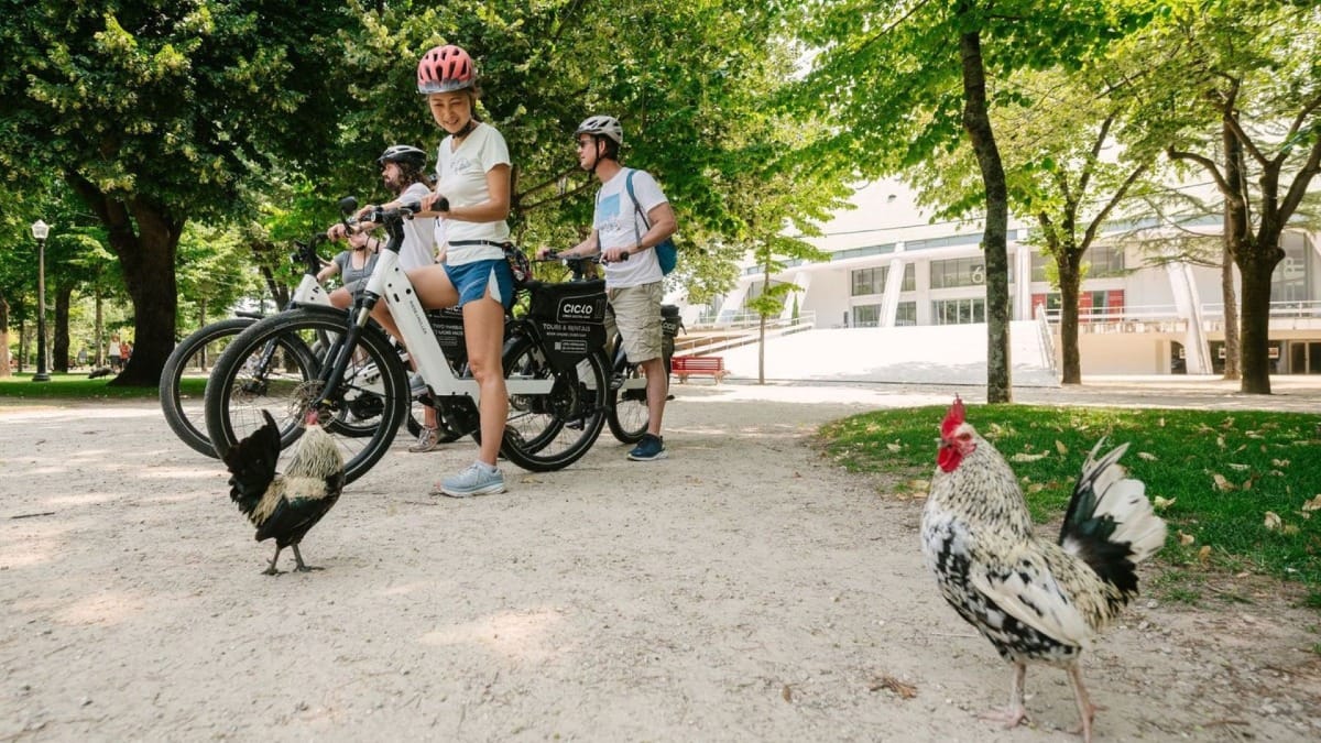 Cyclists spotting roosters while passing through Palácio de Cristal gardens during a guided electric bike tour in Porto