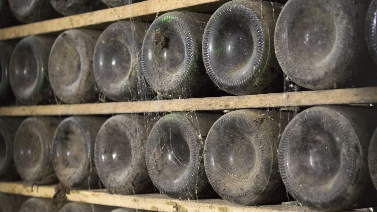 Vintage port wine bottles in a port wine cellar visit on our Private Porto City Tour | Cooltour Oporto