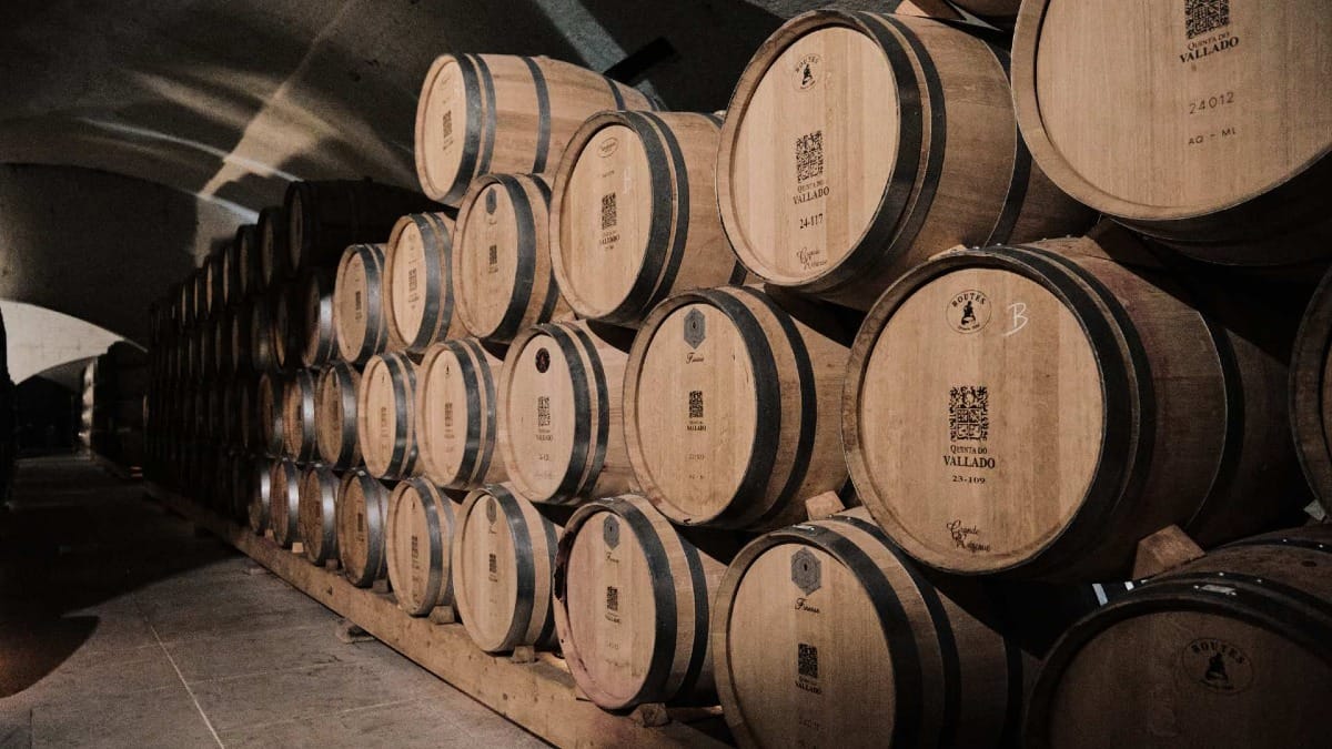 Visiteurs explorant le couloir de la cave bordé de fûts de chêne à Quinta do Vallado