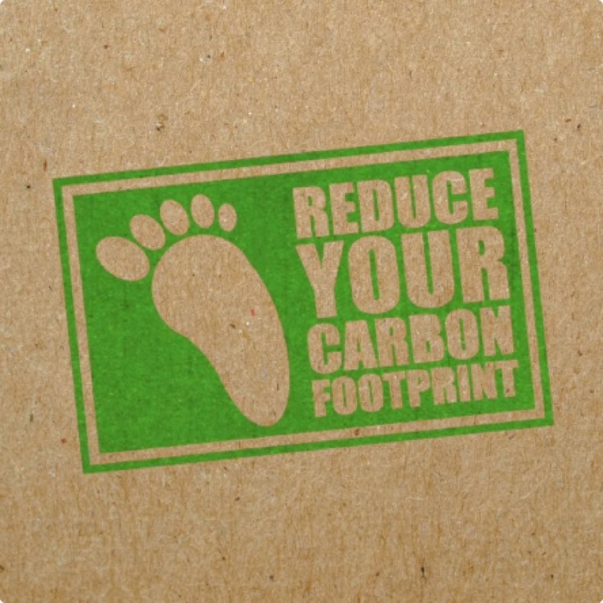 Walking tours to reduce our carbon footprint