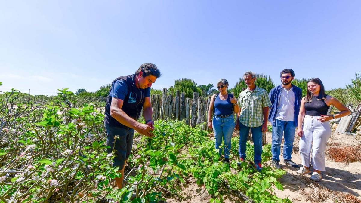 Descubra los históricos viñedos de Colares con su guía local durante la excursión en bicicleta eléctrica por Sintra.