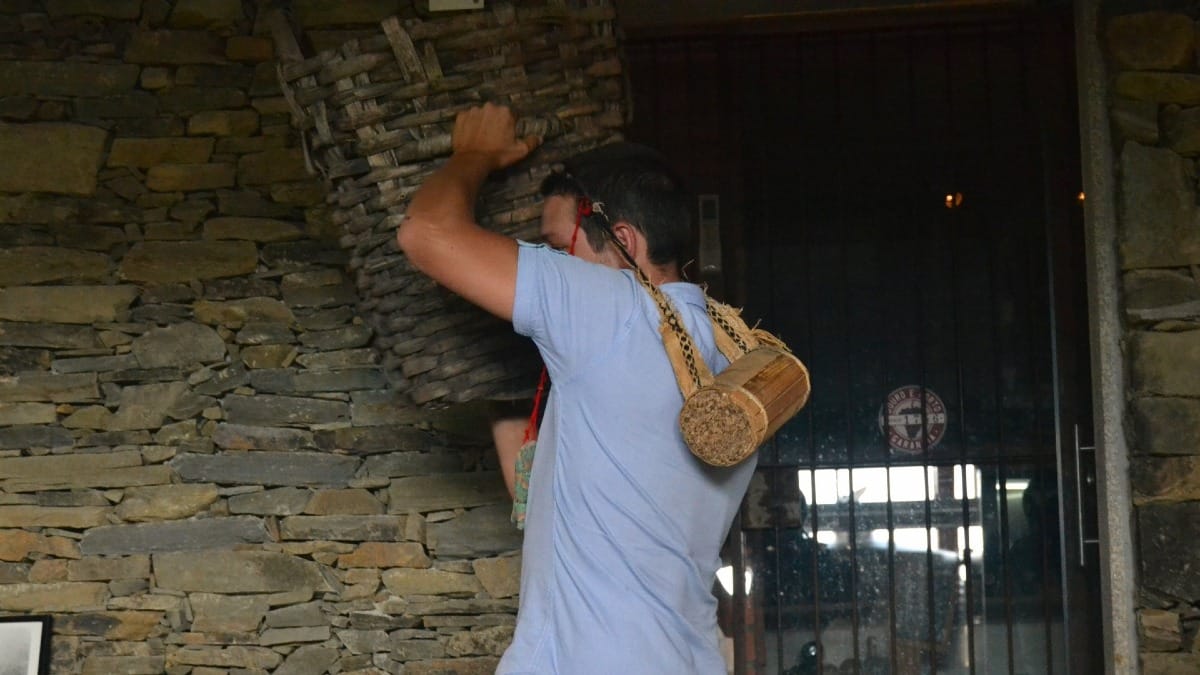 Excursion guidée dans la Vallée du Douro au départ de Porto avec Cooltour Oporto