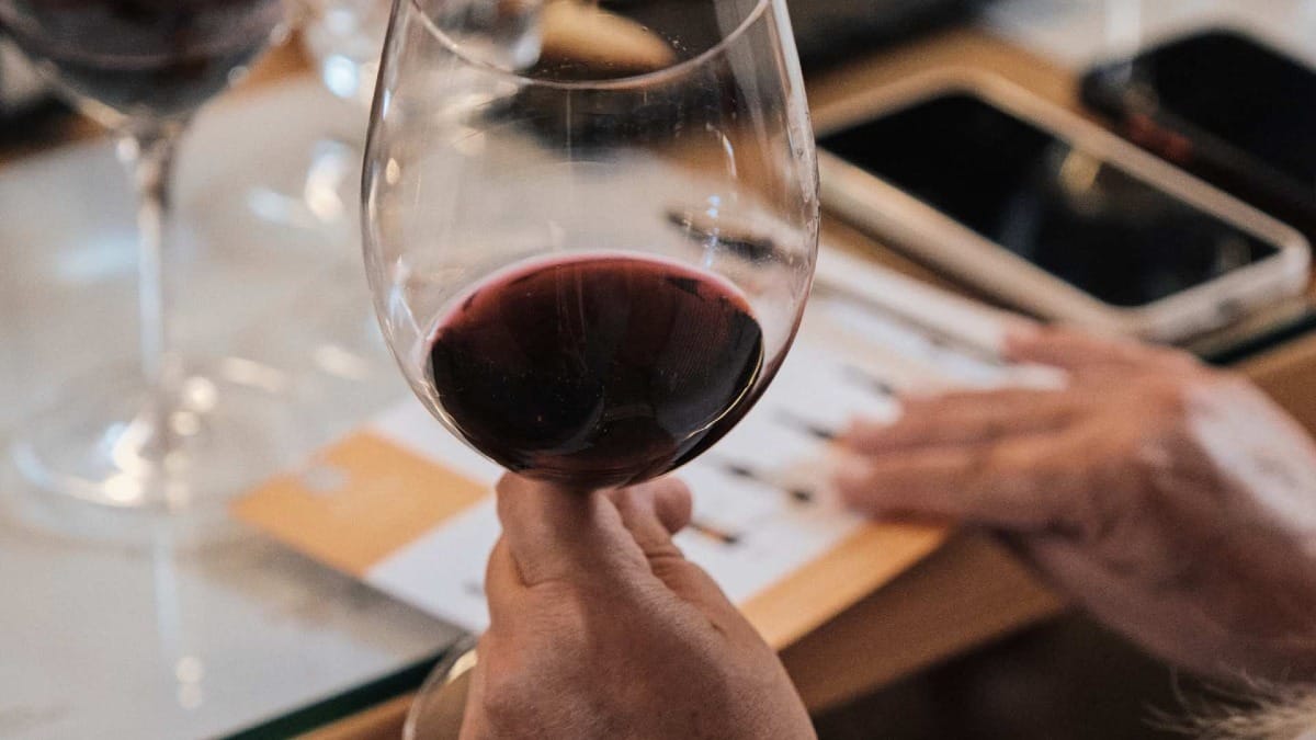 Main tenant un verre de vin rouge lors d'une dégustation de vins haut de gamme à Quinta do Vallado