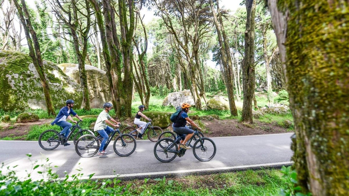 Cycling through the lush green landscapes of Sintra Natural Park by e-bike